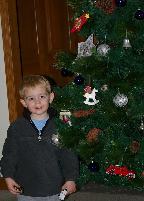 christmas tree 1.jpg